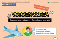 Imagen en miniatura(Votación de regreso al país )