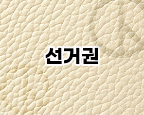 선거권