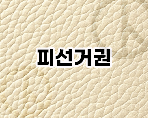 피선거권